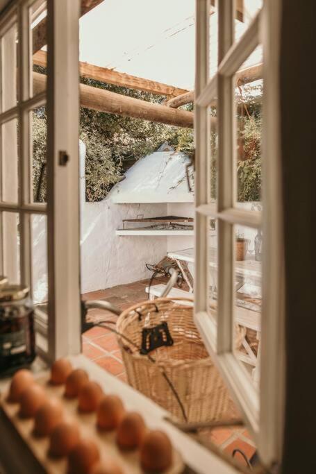 Classic Greyton Cottage For Two Eksteriør billede