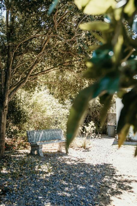 Classic Greyton Cottage For Two Eksteriør billede